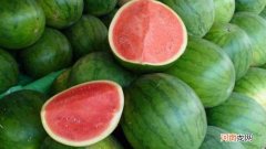 无籽西瓜是种子植物吗