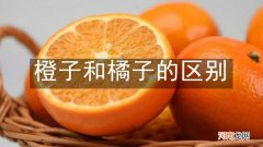 橙子和橘子的区别