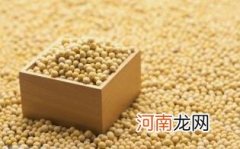 大豆蛋白粉的功效与作用优质