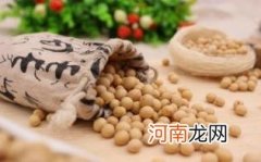 大豆卵磷脂的作用优质