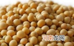 大豆的功效与作用优质