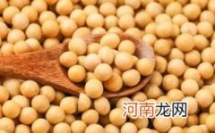 大豆的作用优质