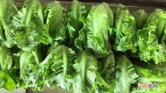 十月芥菜是什么意思