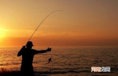 秋冬钓鲢鳙用什么味饵料