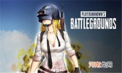 绝地求生dmr是什么意思