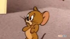 芭比q了家人们是什么意思