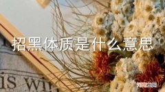 招黑体质是什么意思