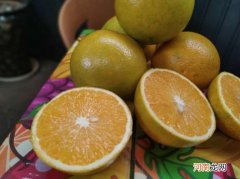 褚橙和冰糖橙的区别