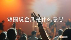 饭圈说金瓜是什么意思