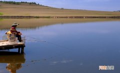 钓鲢鳙双钩间距是多少