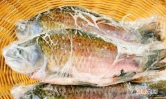 鲤鱼冷冻后还能吃吗优质