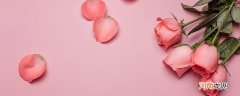 情人节送香槟玫瑰是什么意思