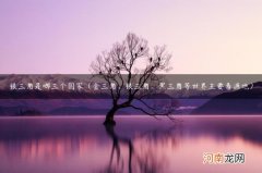 金三角、银三角、黑三角等世界主要毒源地 银三角是哪三个国家