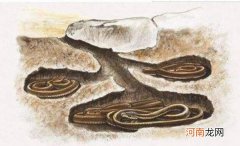 哪些动物冬眠做些什么准备 哪些动物冬眠