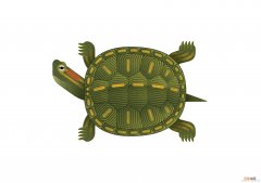 天气忽冷忽热乌龟怎么冬眠 乌龟怎么冬眠