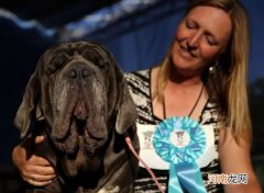 世界上最丑的狗叫什么名字 世界最丑的狗