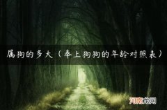 奉上狗狗的年龄对照表 属狗的多大