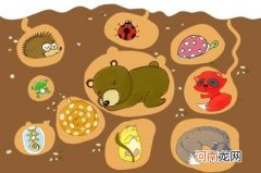 全部冬眠的动物有哪些 冬眠的动物有哪些