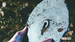 杜立巴石碟真的存在吗 杜立巴石碟