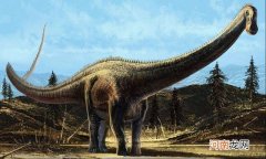 最大的恐龙排行榜前十名 世界上最大的恐龙