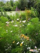 何意 春草如有意,罗生玉堂阴何意？