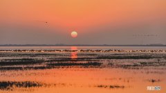 我国的五大淡水湖是指哪五个 中国五大淡水湖是哪五个