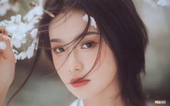 形容森林的词 描写“森林茂密”的成语有哪些？