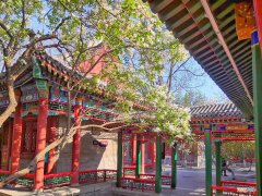 贾宝玉和林黛玉为什么不能在一起 贾宝玉和林黛玉