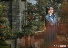 鹤唳华亭什么意思华亭指什么 鹤唳华亭是什么意思