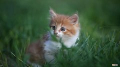 节点电压法 用节点电压法求节点电压求解