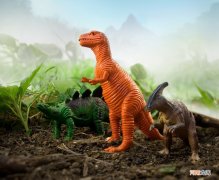 恐龙化石的形成过程是怎样的 恐龙化石是怎么形成的