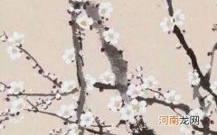 虎年出生男孩取名案例 2022洋气顺口的男生名字