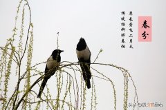 春天的节气有哪些分别是什么含义 春分节气的含义是什么