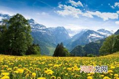 2023年年初属兔孩子热门的名字 兔年起名最好的汉字