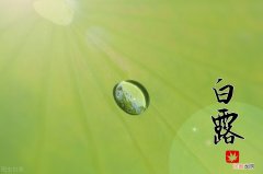 关于白露节气的知识 白露节气的含义是什么