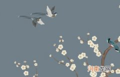 2023卯兔年王姓女孩起名 属兔清新雅致的女宝宝名字