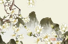 2022年10月22日出生是什么命 虎年最好听的女孩起名