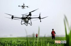 清明节有哪些风俗传统 清明节的节日风俗有哪些