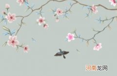 2023年农历五月出生男孩起名 兔年寓意儒雅有朝气的名字