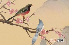 2022年12月23日出生是什么命 虎年五行水旺的男孩好名字