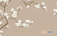 2022年11月出生有灵气的女孩名字 寓意破晓初升的太阳