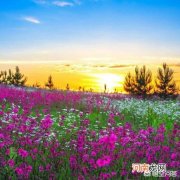 阿房一炬 对你人生影响最大的诗歌是哪一首？