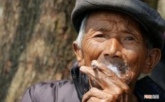 家里经常有猫来是吉还是凶 猫来家里好事还是坏事