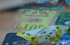 透明胶带粘在玻璃上的胶怎么去除 玻璃上的胶怎么去除