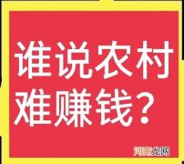 目前农村线下实体店的未来出路 未来适合在乡镇开的实体店