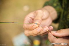 一点零的子线多少斤的鱼 1.0子线能钓多大的鱼