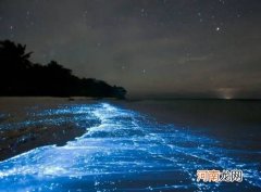 荧光海在什么情况下能够出现 荧光海大概发生在什么时间