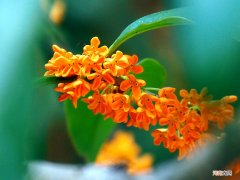 风水上讲开门见什么比较好 开门见什么最吉利