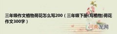 写植物 三年级下册荷花作文300字 三年级作文植物荷花怎么写200