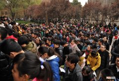 2022最好的工作单位前十 十大公认铁饭碗排名出炉